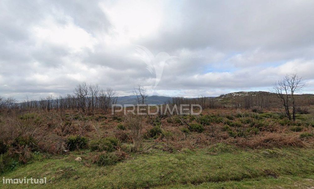 Terreno Rústico Montalegre