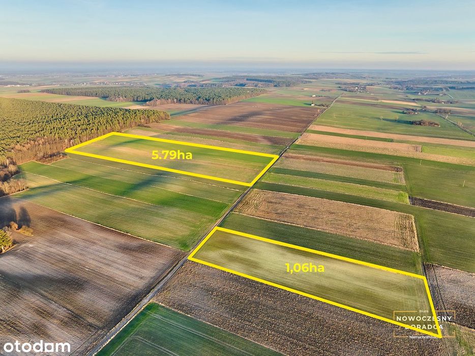6,85ha Ziemia Rolna - Możliwość zakupu od 1 ha