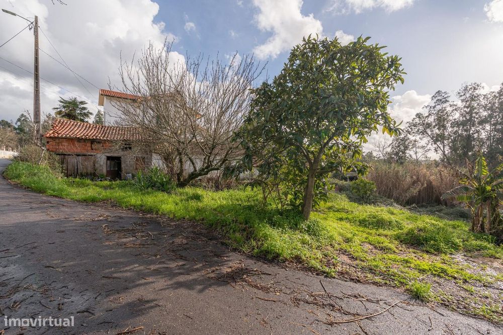 Moradia T1 - Lameira | Arzila