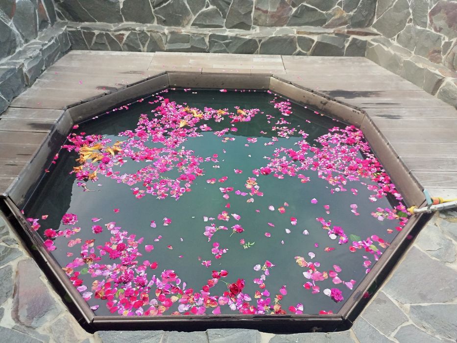 Будинок подобово баня-чан, більярд