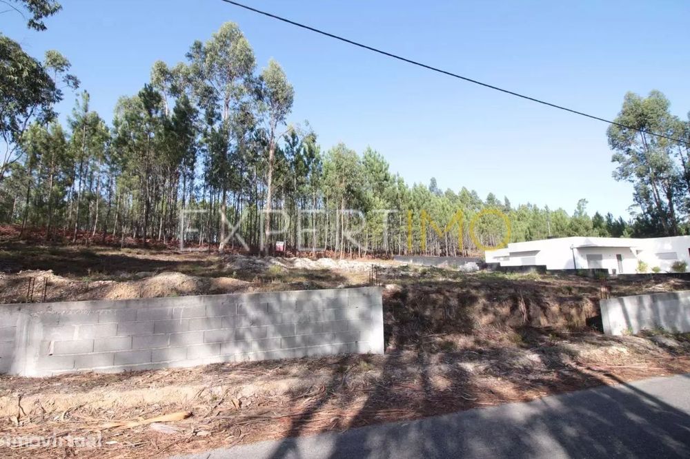 Terreno Com plantação de eucaliptos e pinheiros - Ourém
