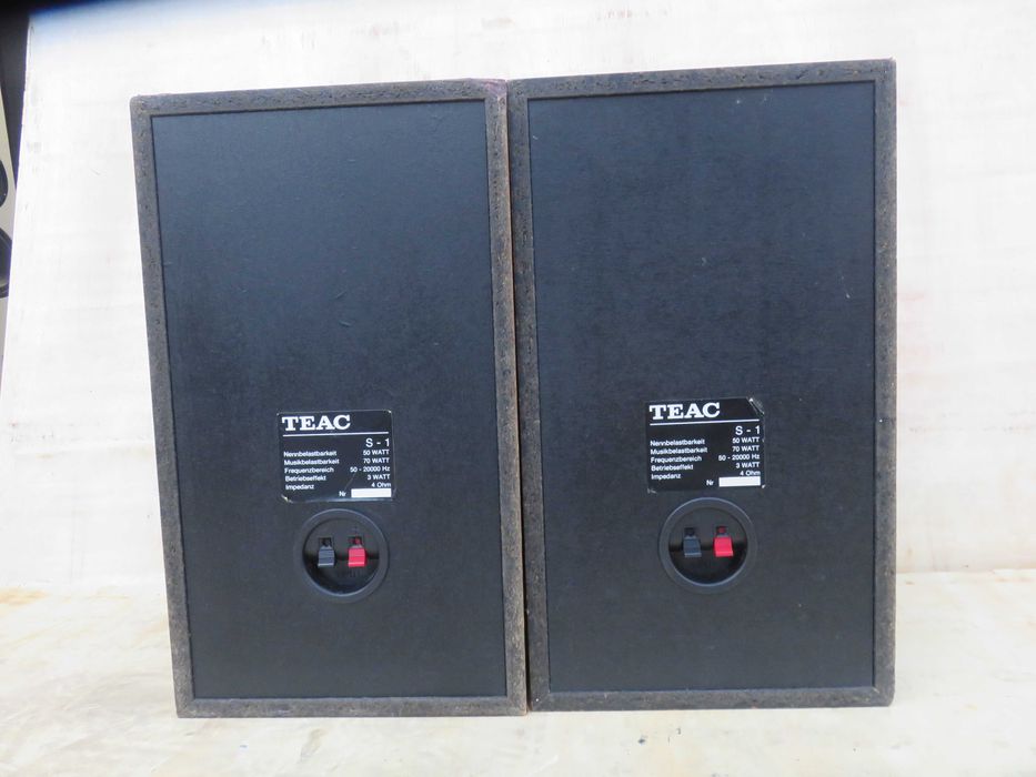 Kolumny monitory Teac S-1