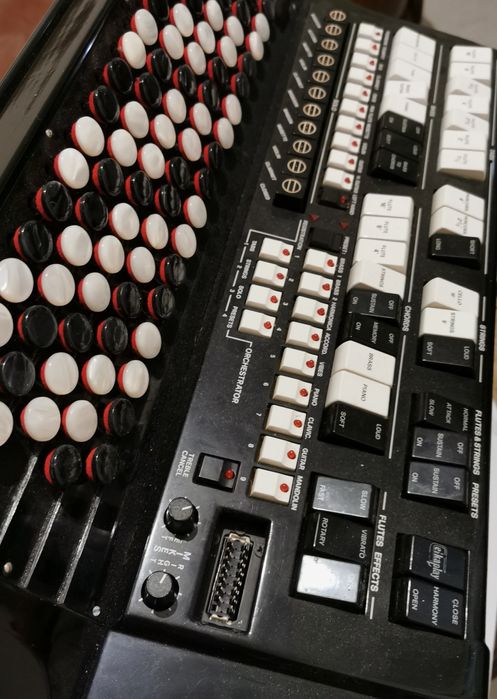 Acordeon (Acordeão) Elkavox 83