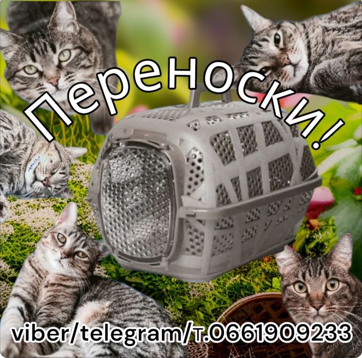 Переноски для собак и котов