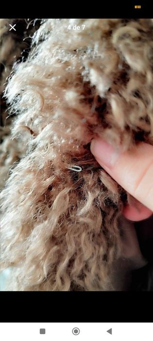 Casaco Bershka  Efeito Pêlo Castanhk