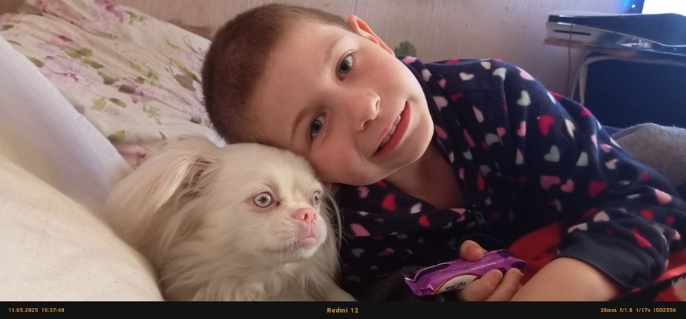 Родині з окупованого Мелітополя.Треба житло в Запоріжжі ,присмотримо .