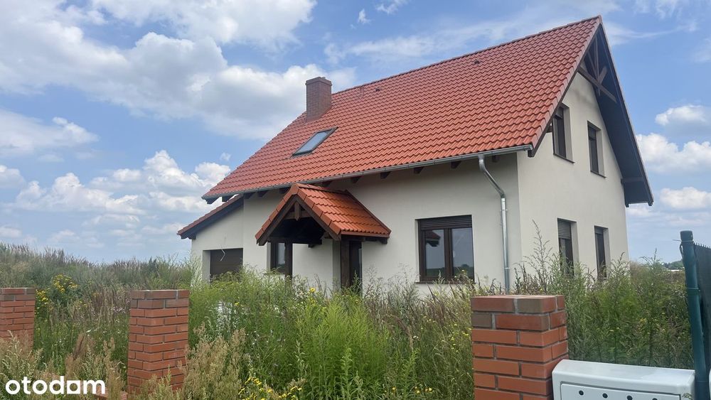 Zdjęcie 6