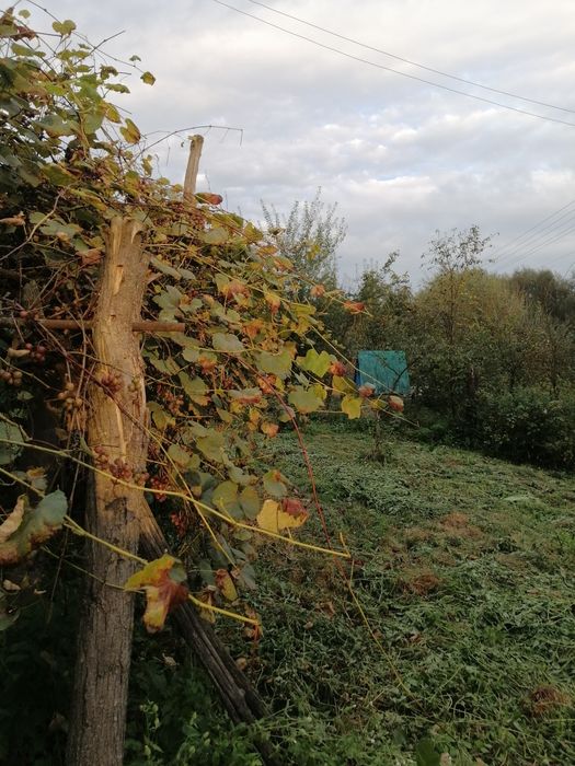 Продаж будинку с.Пісок