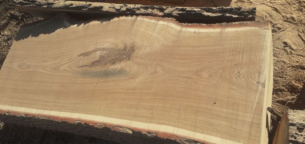 Drewno dębowe plastry srednica ok 1,5 m dąb  brusy