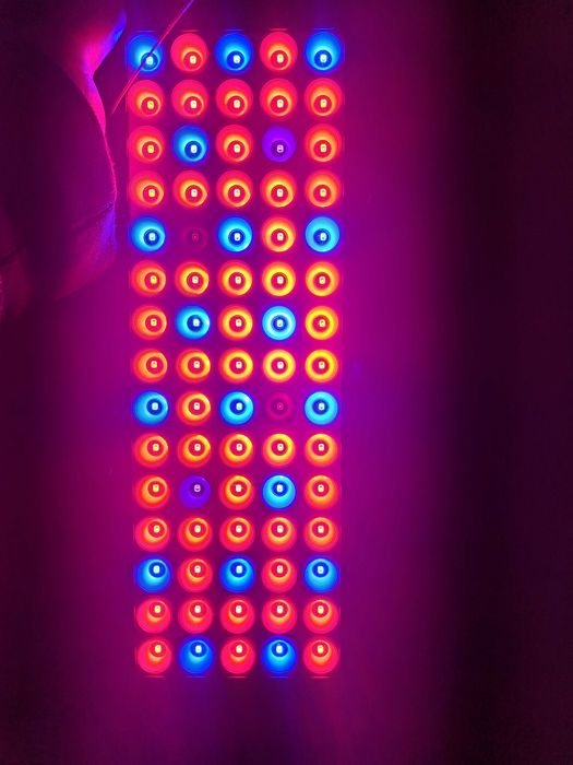 Luz LED crescimento plantas aquario