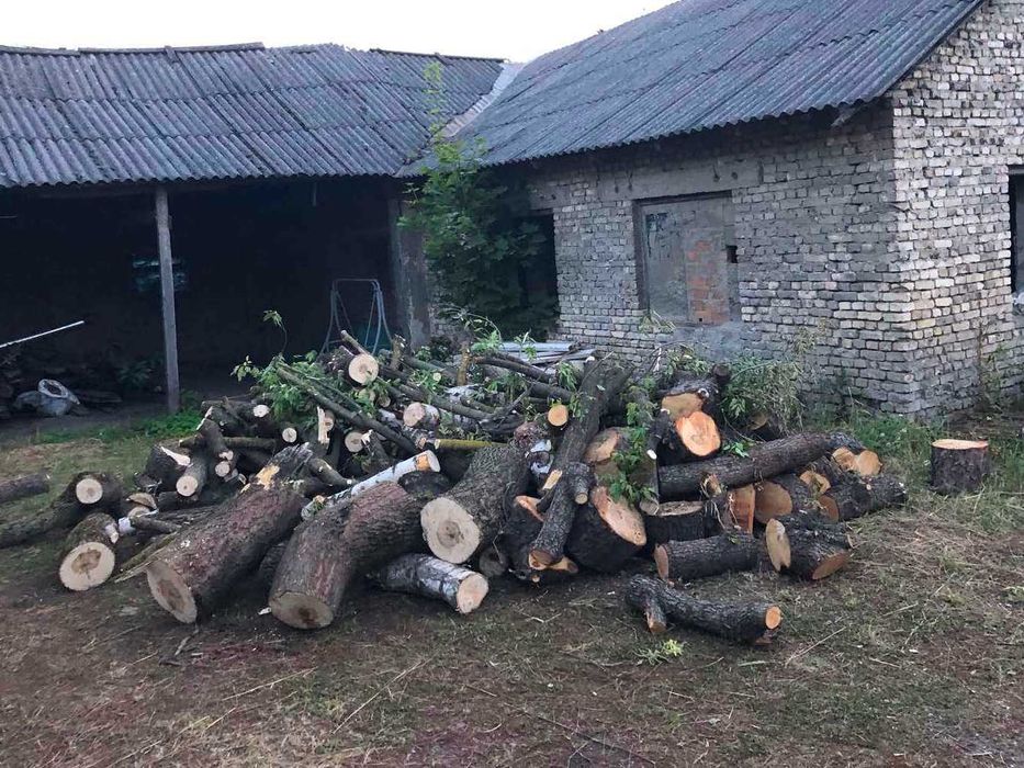 Продаєм рубані дрова твердих порід