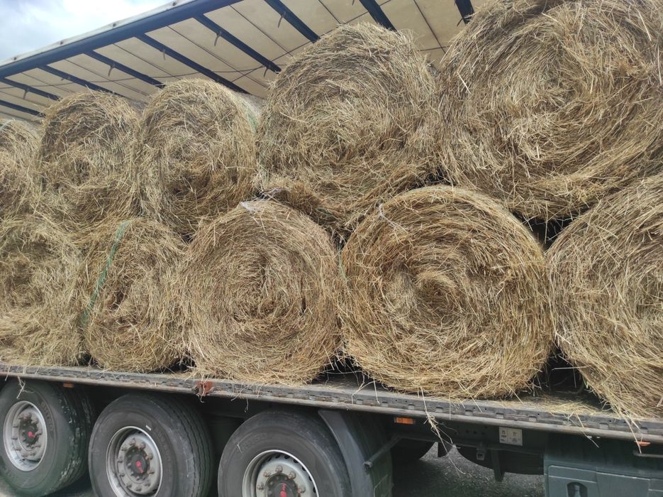 Sprzedam siano i słomę z 2025r.