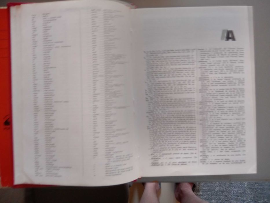 Dicionário da Língua Portuguesa - - - - - Dicionário