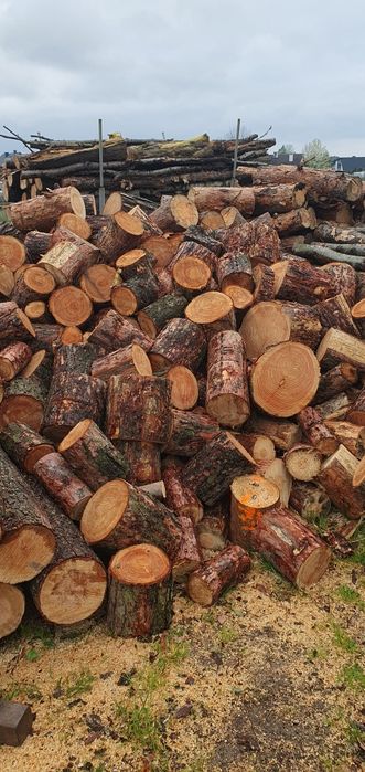 Drewno kominkowe opałowe