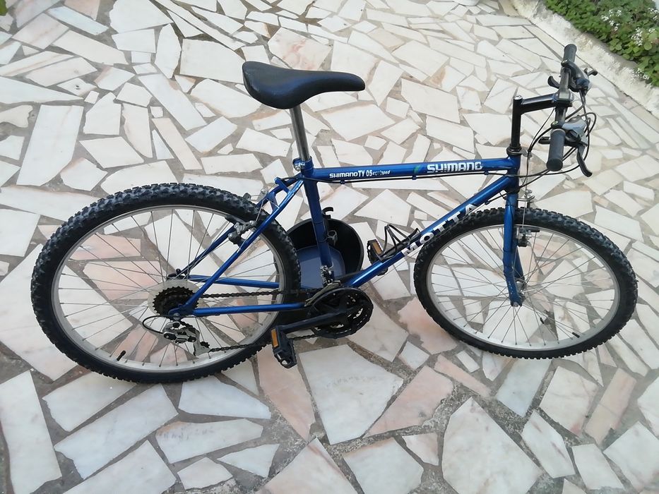 Bicicleta de adulto
