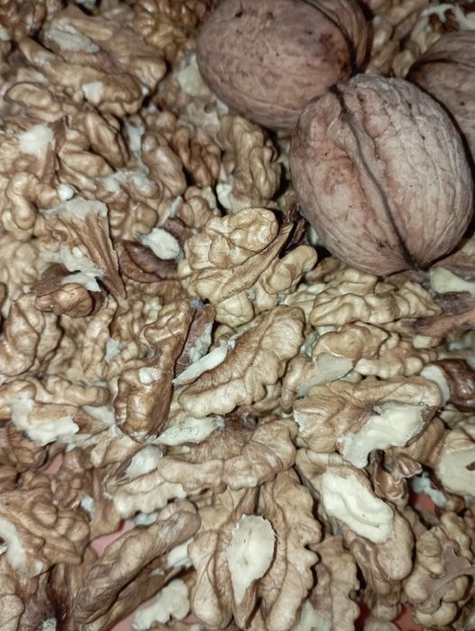 Горіх волоський(грецький)домашній.Урожай 2025!