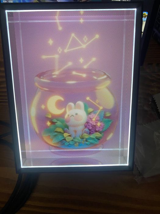 Looking Glass Portrait (голографічна рамка дисплей)