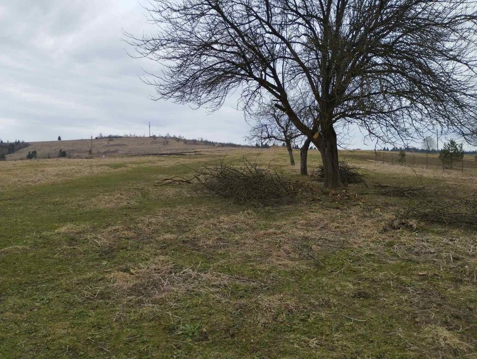 Ділянка у курортній зоні Карпат 80 сот.Обмін