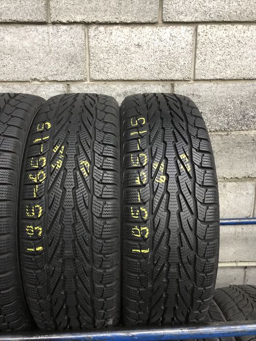 Зимові шини 195/65 R15 (91T) APOLLO