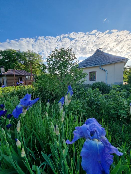 Мачухи, окремий, затишний будинок з шикарною альтанкою та зоною барбек