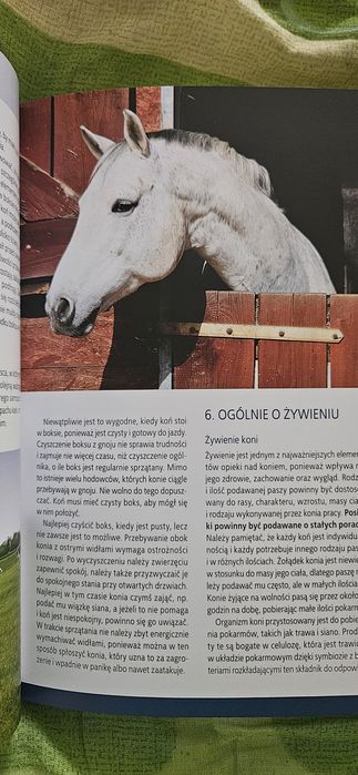 Konie rasowe- książka