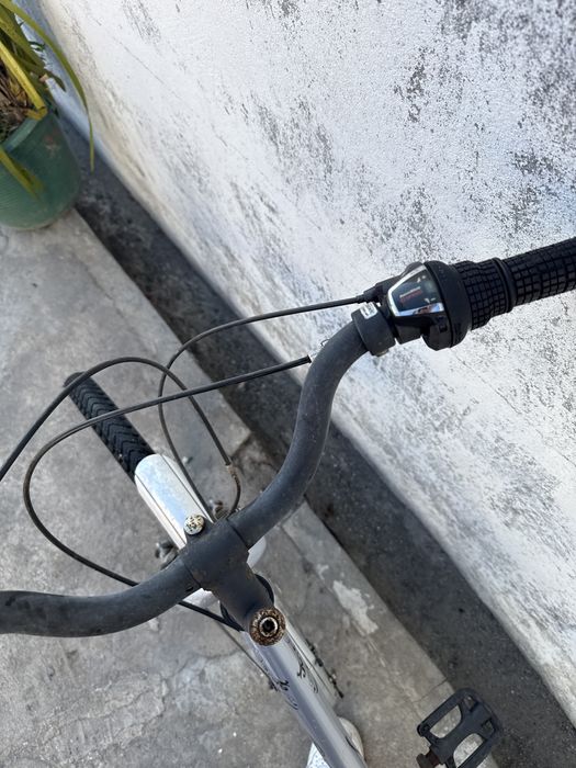 Bicicleta venus