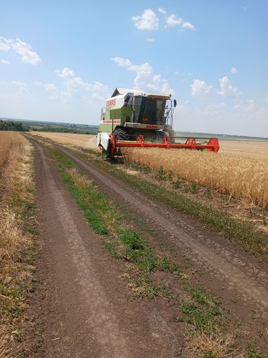 Комбайн Claas Mega 204