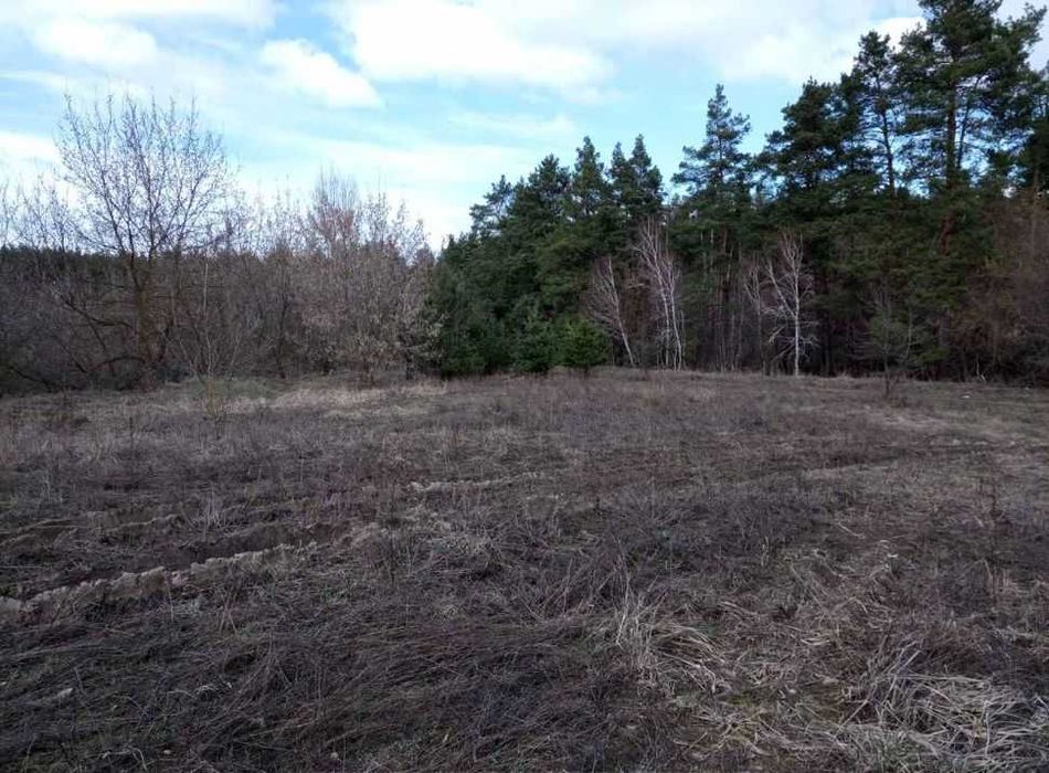 186 соток біля лісу в с .Ст. Петрівці, в 15 км від Києва