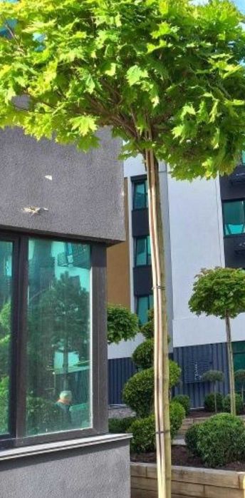 Продаж 1-кімнатної квартири  під ремонт у клубному будинку найкращого ЖК «У-Квартал»!