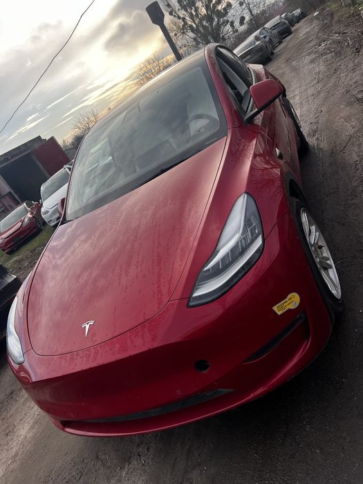 Відновлення Tesla після ДТП та інші авто