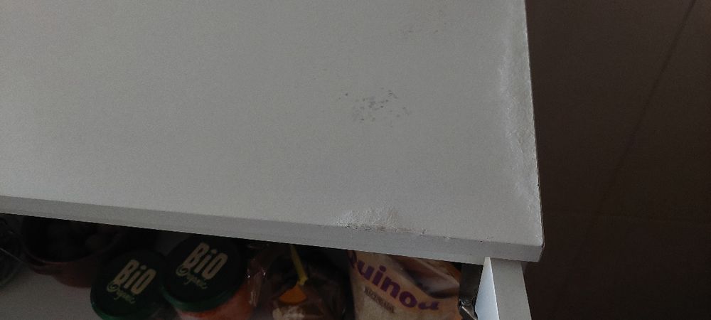 Armário com portas e 2 prateleiras