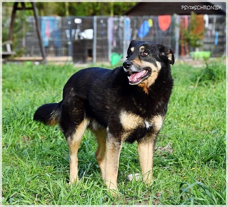 Borys – nie dla niego luksusy, wystarczy kochający opiekun