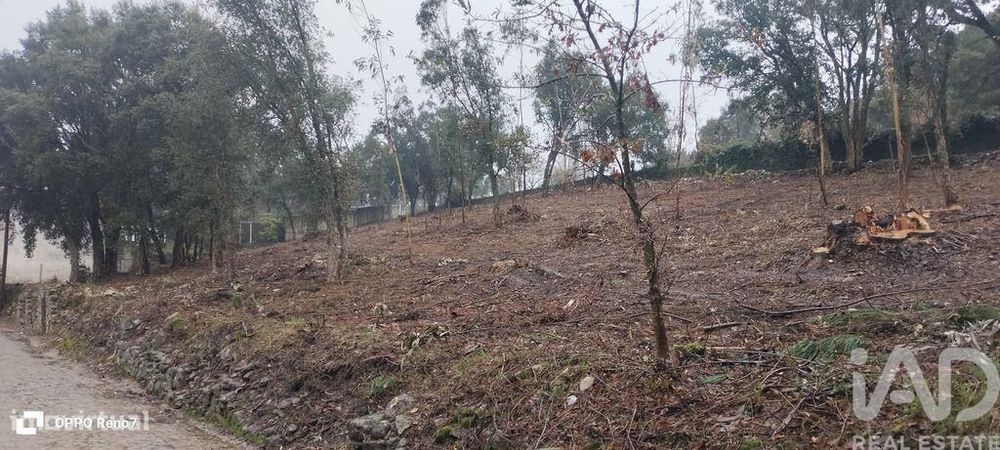 Terreno em Fornelo e Vairão
