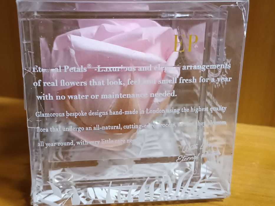 Вічна троянда Eternal Petals/Англія