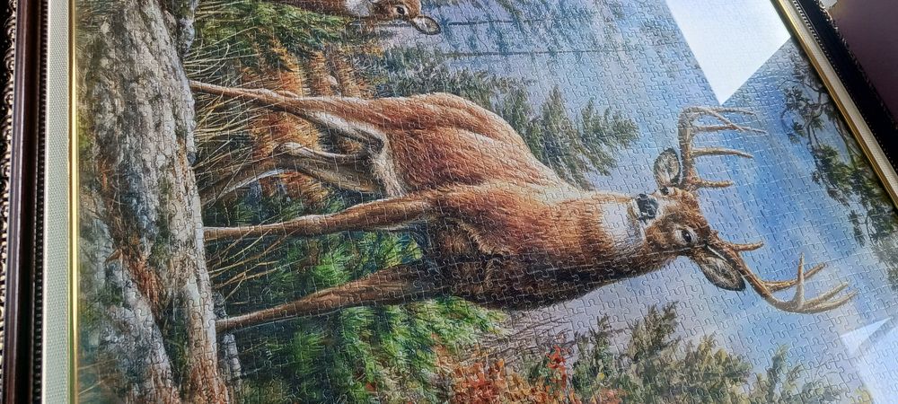 Королівська сім'я оленів