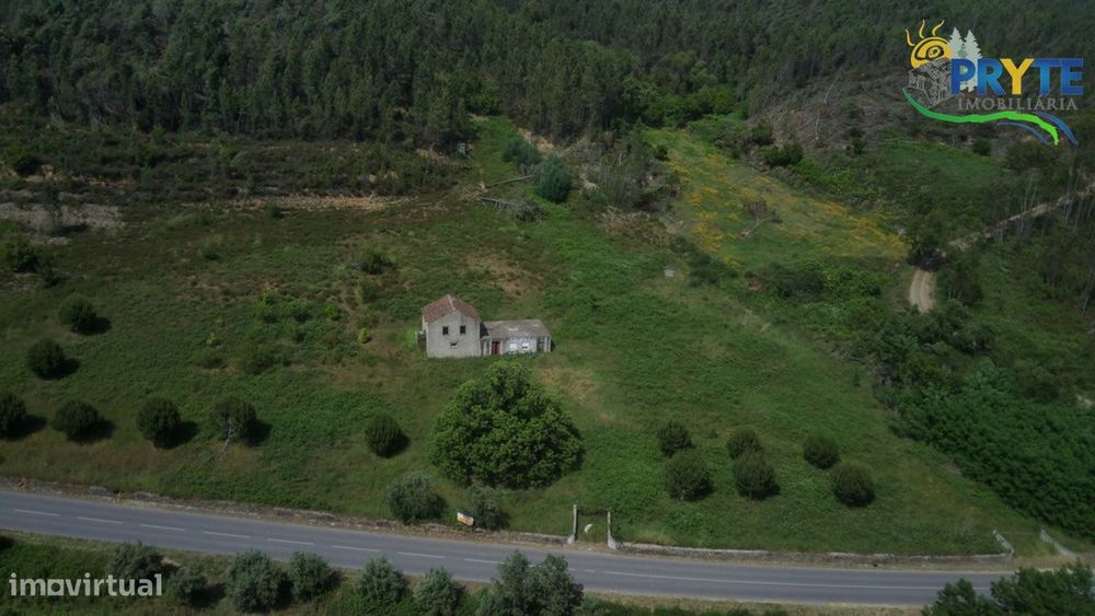 Quinta com 3,6 hectares na Sertã - Pinhal, Oliveiras e Bons Acessos.