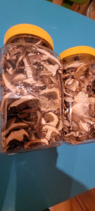 Grzyby suszone 2025r.