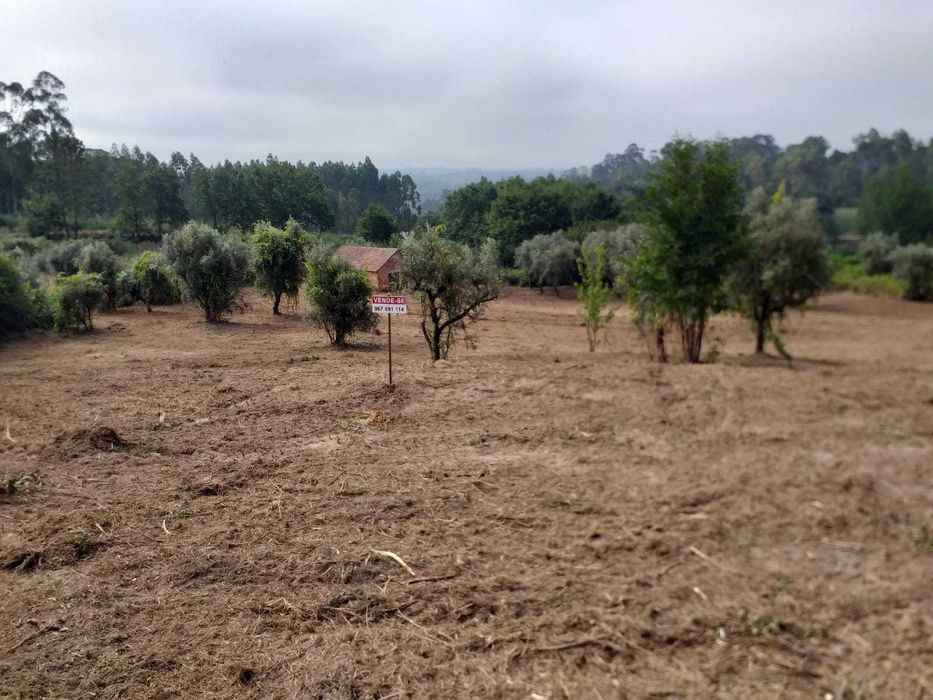 Terreno para construção junto à ecopista do dão