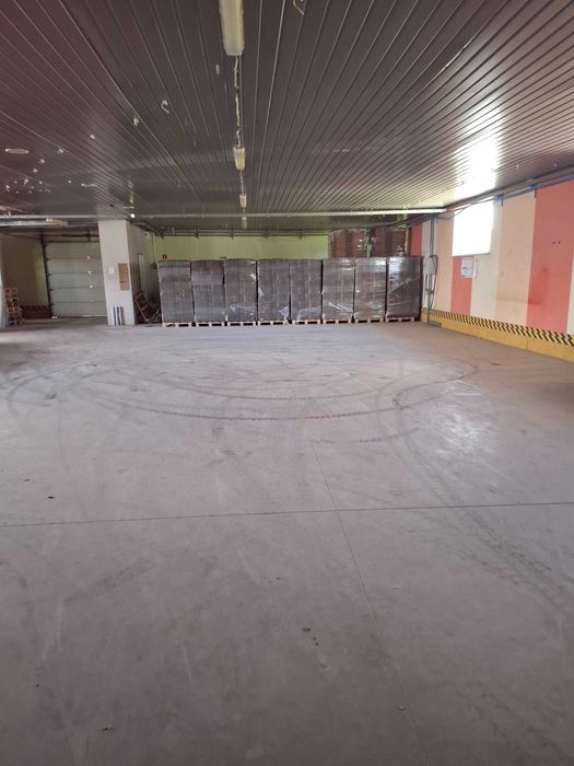 Hala magazynowa 1400 m² | S8 | rampy | duży plac TIR | Piotrków
