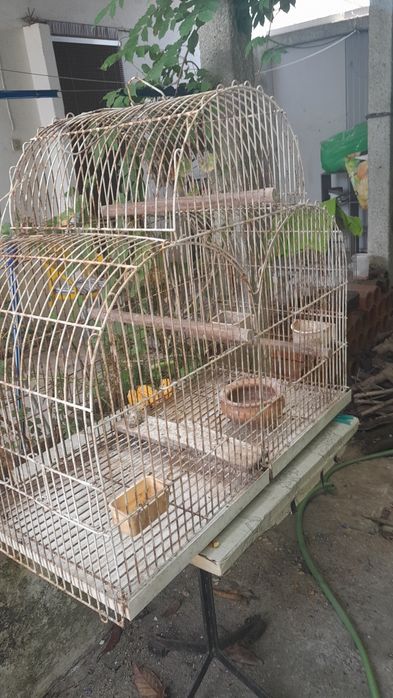 gaiola para pássaros