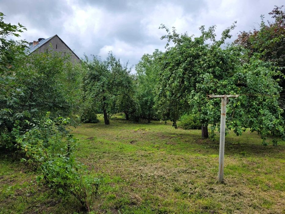 Siedlisko na sprzedaż.