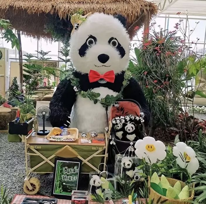 Miś Panda Show żywa maskotka! Atrakcja na urodziny, komunie, wesela