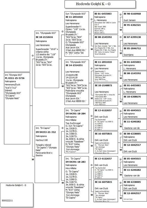 Top int. "Olympiade 003"
