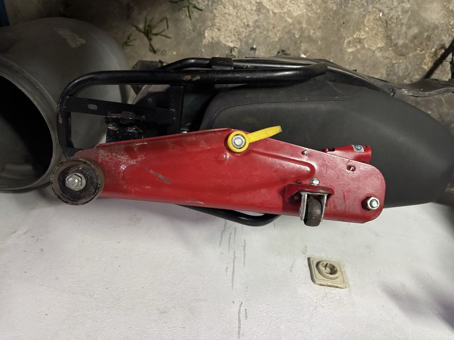 Macaco em bom estado