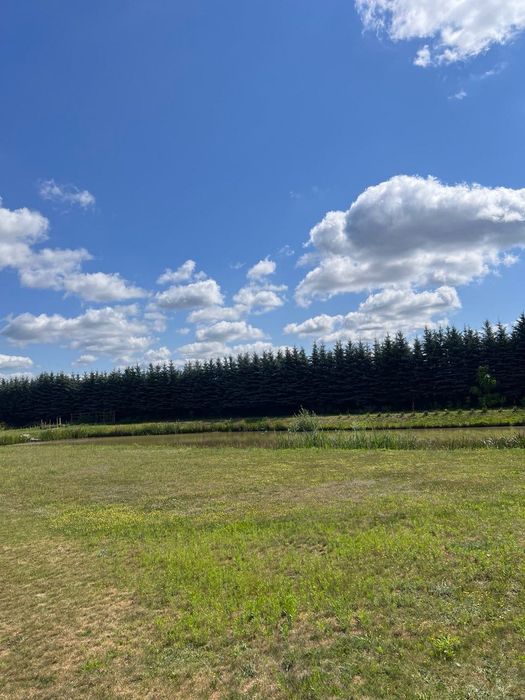 Działka W Otulinie Puszczy Zielonka