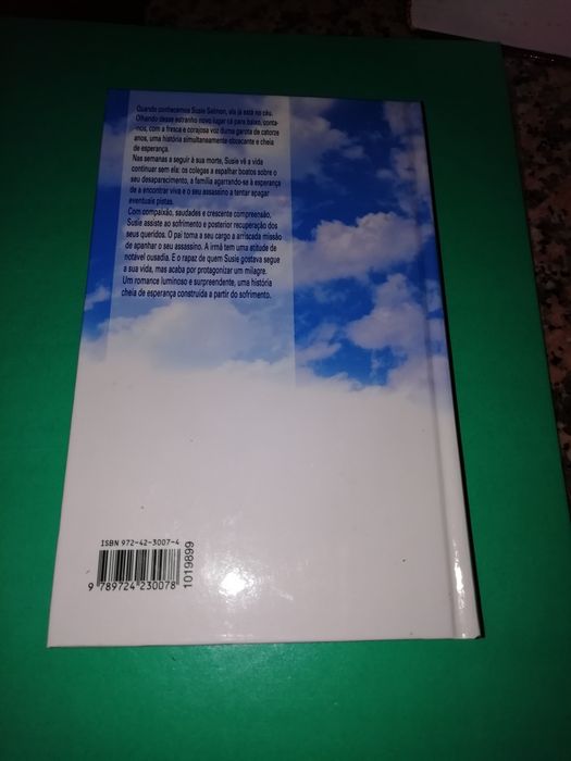 Livro Visto do Céu ( Alice Sebold)
