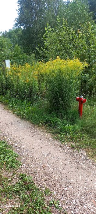 MPZP Media Budowlana 1021m² w LIPINACH pod OSIECKIEM pow.  OTWOCKI