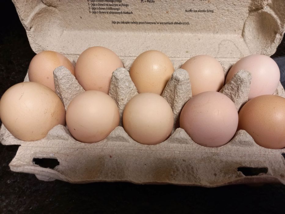 Jajka  wiejskie .