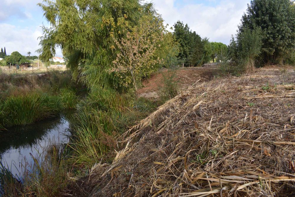 Quintinha junto ao rio Almonda