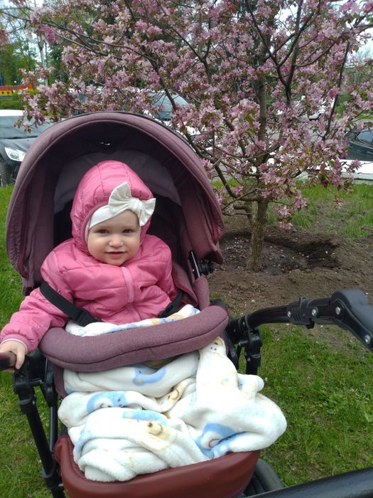 Коляска 2 в 1 ️люлька прогулка